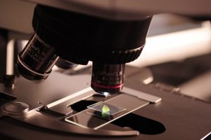 Introdução à Microbiologia Veterinária