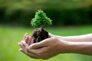 Introdução ao Licenciamento Ambiental