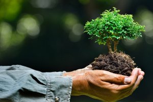 Agente de Defesa Ambiental