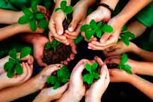Educação Ambiental
